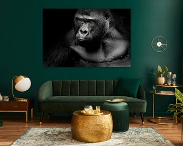 Gorilla by Heiko Lehmann