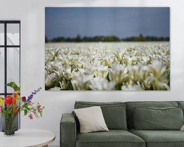 Weiße Tulpen in der Zwiebelregion von Maartje Abrahams