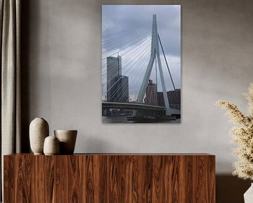 Erasmusbrug Rotterdam van Dick Schouten