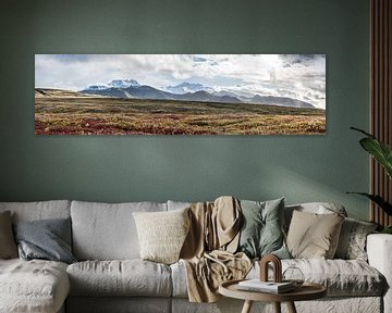 Skaftafell natuurpark in IJsland van Kim van Dijk