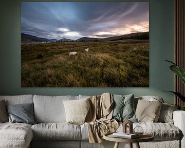 Zonsondergang IJsland met schapen van Kim van Dijk