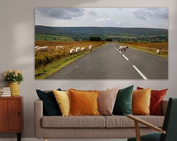 Watch out! Watch out! Sheep crossing by Charlotte Dirkse