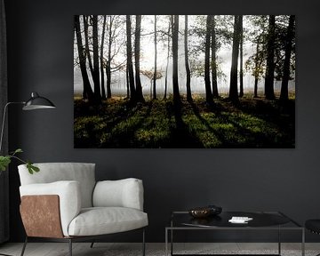Spreewald
