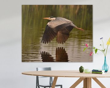 Flying heron over ditch by Marjolein van Middelkoop