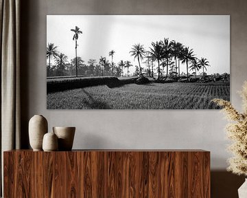 Black and white panorama of a rice field in Bali by Ellis Peeters