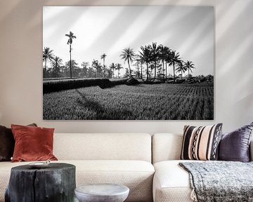 Zwart wit rijstveld op Bali van Ellis Peeters