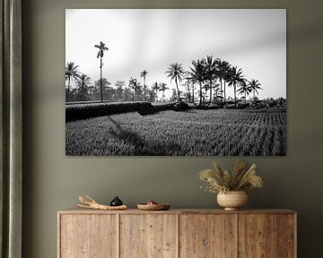Zwart wit rijstveld op Bali van Ellis Peeters