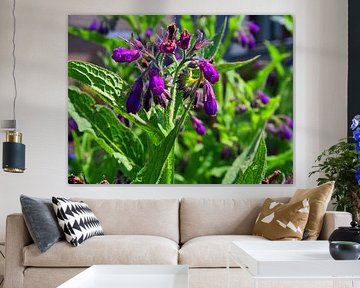 Voortuin bloemen
