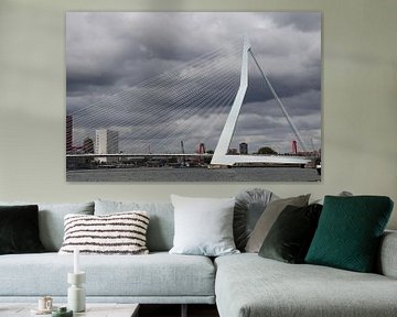 Rotterdam Erasmusbrug van Dick Schouten