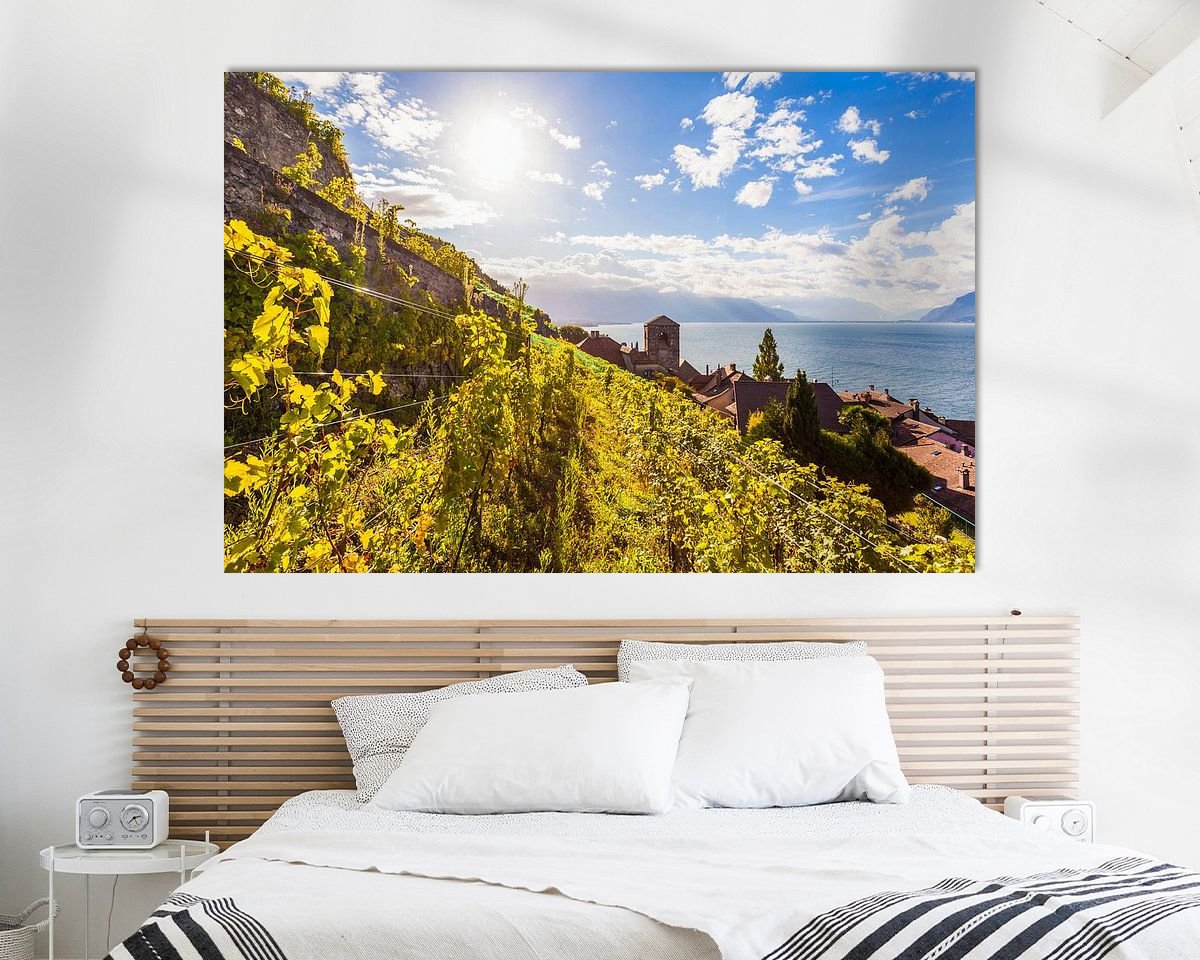 Aperçu de la chambre