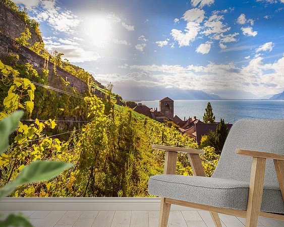 Aperçu de la chambre