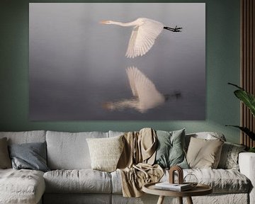 great egret across the water by Erwin Stevens