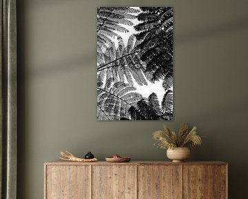 Abstraction de fougère arborescente en noir et blanc