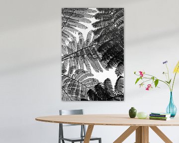 Abstraction de fougère arborescente en noir et blanc sur Ellis Peeters