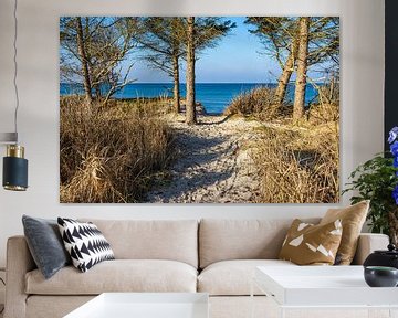 Strand aan de kust van de Oostzee bij Graal Müritz van Rico Ködder