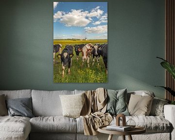 Vaches Holstein frisonnes et moulin