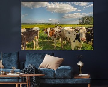 Koeien Holstein Friesian en molen De Marsch in Lienden van Moetwil en van Dijk - Fotografie
