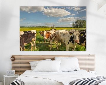 Koeien Holstein Friesian en molen De Marsch in Lienden van Moetwil en van Dijk - Fotografie