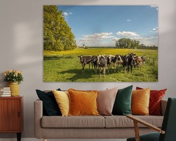 Koeien Holstein Friesian en molen van Moetwil en van Dijk - Fotografie