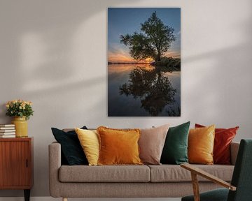 Mangrove tree root by Moetwil en van Dijk - Fotografie