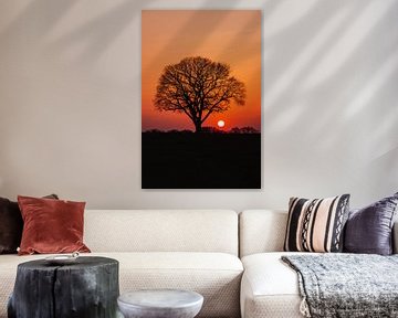 Un arbre isolé au coucher du soleil sur Jeroen Brasz