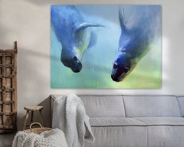 Les phoques flottants sur Mark Adlington