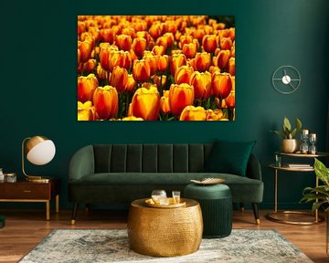 Tulips von Marc Arts