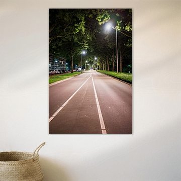 De Rijnsingel bij nacht, Ridderkerk