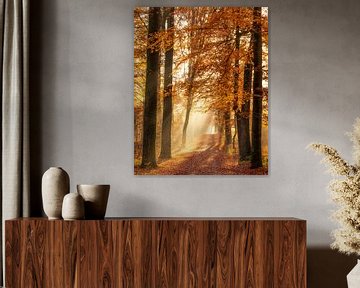 The beauty of Autumn van Thomas Jansen