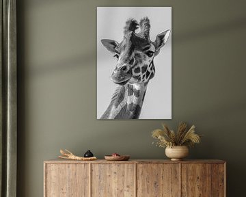 Portrait d'une girafe en noir et blanc sur Marjolein van Middelkoop