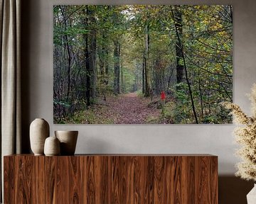 Wandelpad in het bos met perspectief van rij herfst bomen van Trinet Uzun