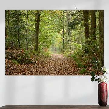 Wandelpad in het bos met perspectief van rij herfst bomen