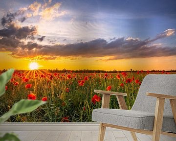 Sunset over picturesque poppy field by Achim Thomae Photography