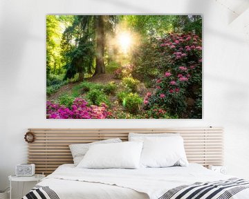 Colorful photo of forest and rhododendrons where the light shines into your room! by gooifotograaf