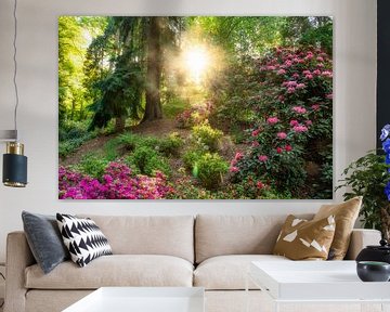 Kleurrijke foto van bos en rododendrons waarbij het licht je kamer binnen schijnt! van gooifotograaf
