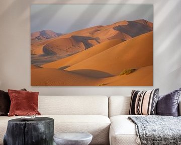 Woestijnduin: Oranje zandduinen in warm ochtendlicht, Oman van The Book of Wandering