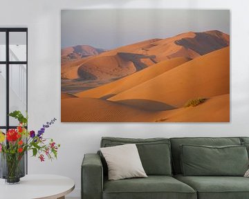 Woestijnduin: Oranje zandduinen in warm ochtendlicht, Oman