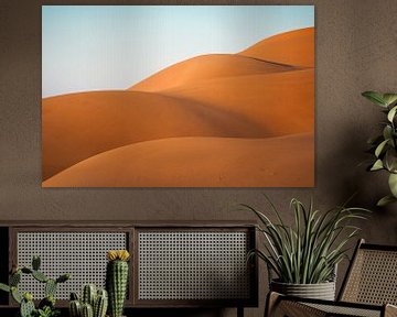Woestijn: Golven van zand