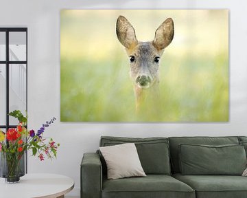 Portrait of a roe deer by Lars Korzelius
