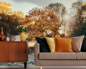 River triangle Fürth Nebel by Faszination Fürth