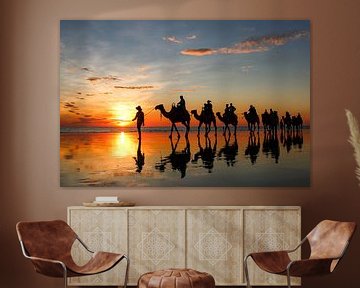 Sunset with camels on the beach. Broome, Australia by The Book of Wandering