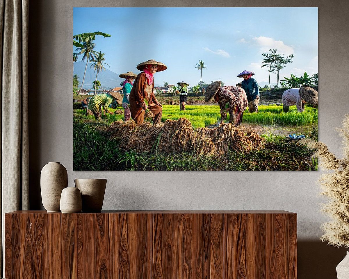 Voorbeeld van het werk in een kamer