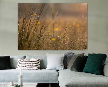 beautiful meadow by Tania Perneel