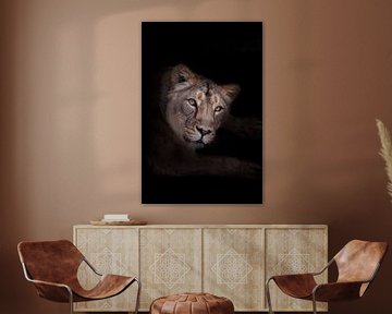 een mogelijke vrouwelijke leeuwin kijkt je rustig en onderzoekend aan, de blik van een leeuwin is ee van Michael Semenov