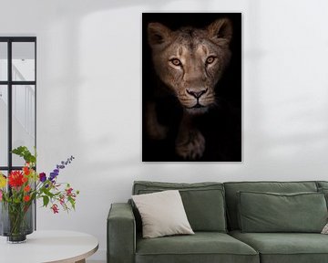 een hebzuchtige en gepassioneerde leeuwin kijkt je aan, de blik van een leeuwin is een portret in de van Michael Semenov