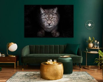 Uitbeeldingen van de lynx met een volledig zwart gezicht op de achtergrond van een grote kat. van Michael Semenov