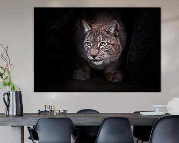 Beauty lynx - wild forest cat looks suspiciously, looks at you from the darkness of the cave, black  by Michael Semenov