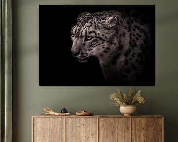 portrait d'un léopard des neiges au regard clair sur fond noir, grand chat cendré sur Michael Semenov