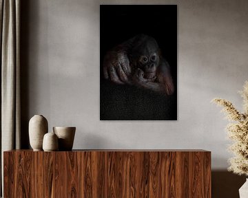 Een peinzend verdrietig orang-oetang welpje is verdrietig, steekt zijn hoofd met zijn hand, de hand  van Michael Semenov