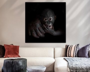 Schattige kleine orang-oetan apenwelp ziet er serieus uit, moederskant. van Michael Semenov